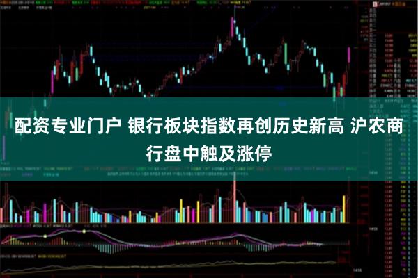 配资专业门户 银行板块指数再创历史新高 沪农商行盘中触及涨停